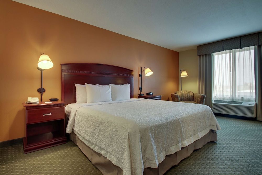 Room, 1 King Bed, Accessible, Non Smoking (Roll-in Shower)