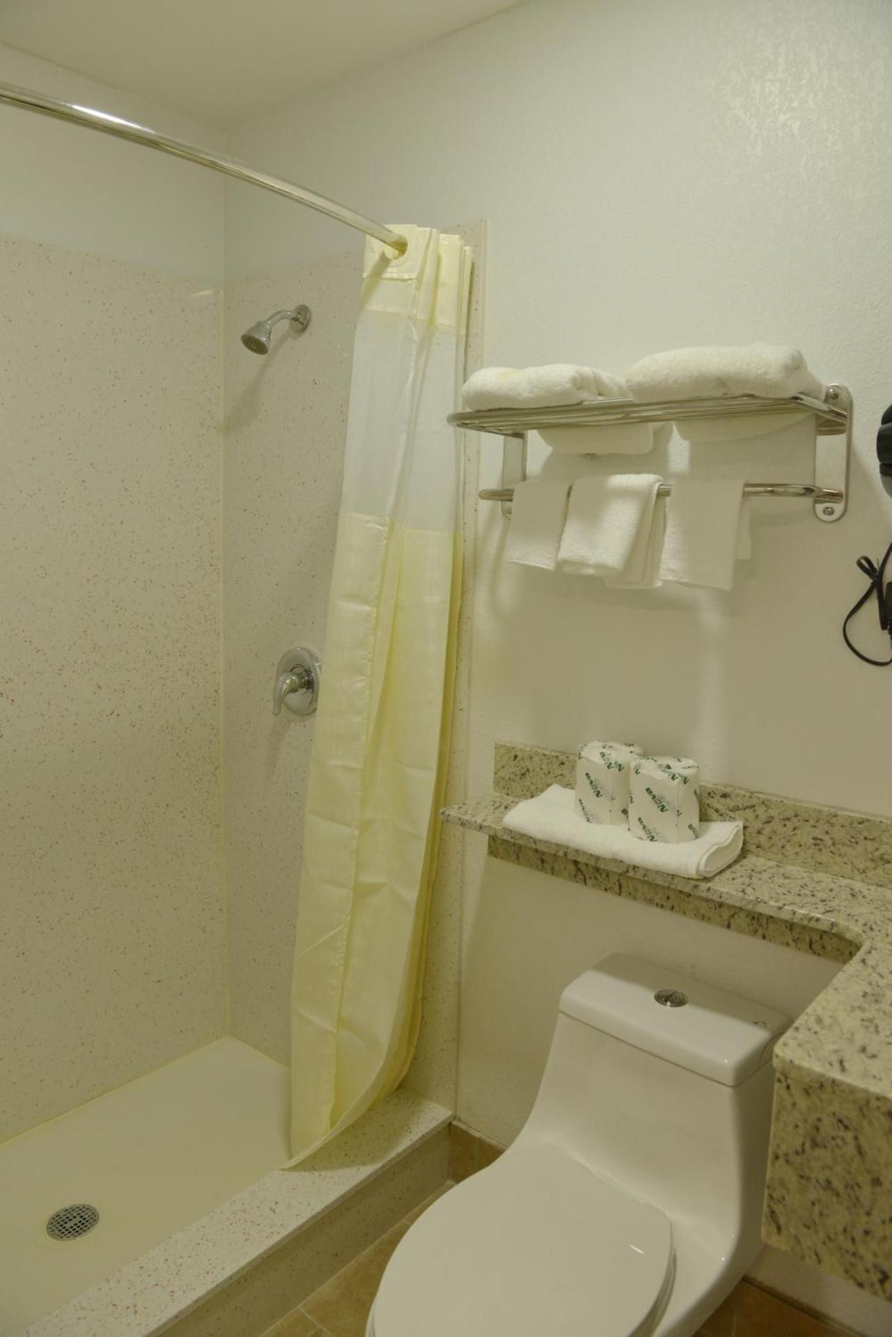 Rodeway Inn & Suites Winter Haven Chain Of Lakes Efficiency King Suite - Non-Smoking