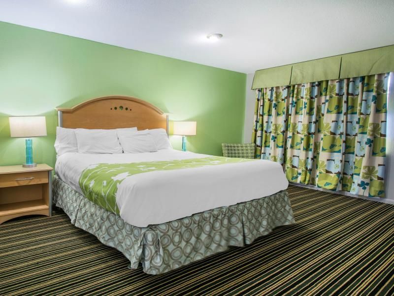 Suite King Bed