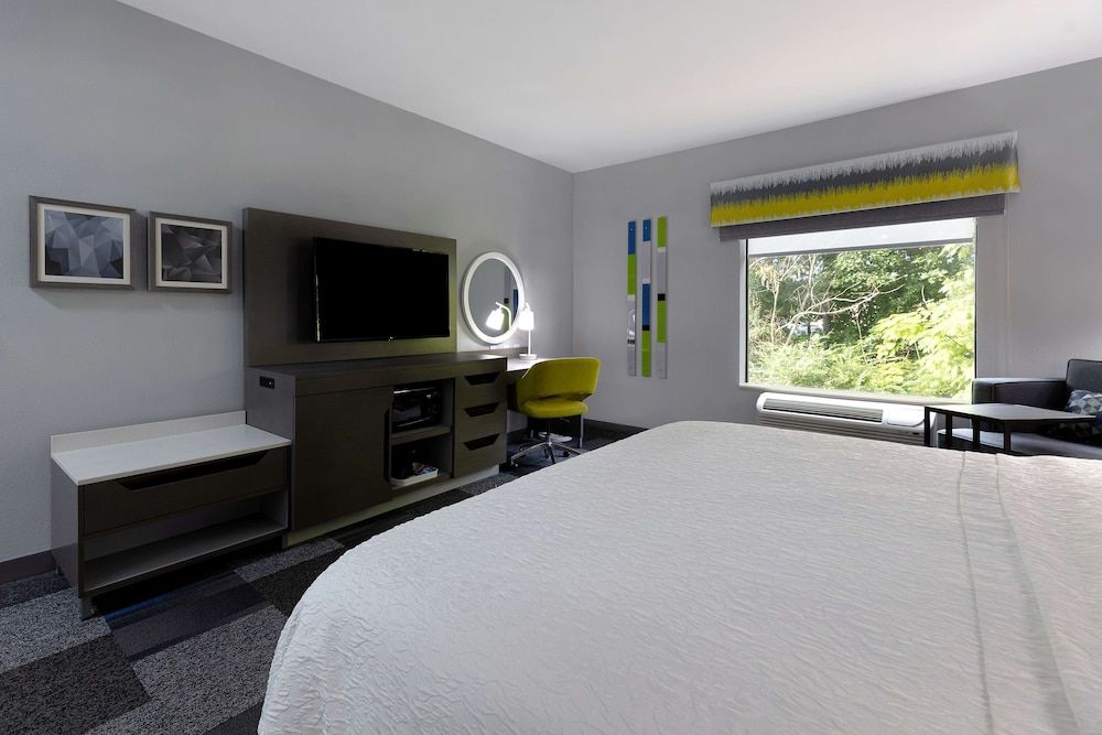 Room, 1 King Bed, Accessible