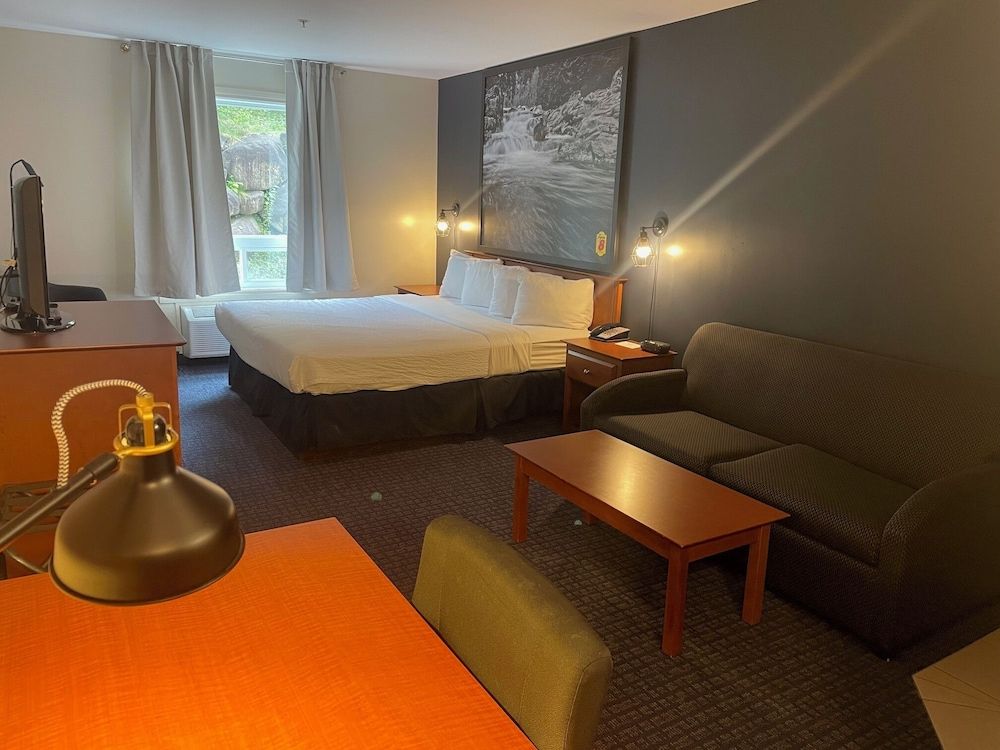 Suite, 1 King Bed with Sofa bed