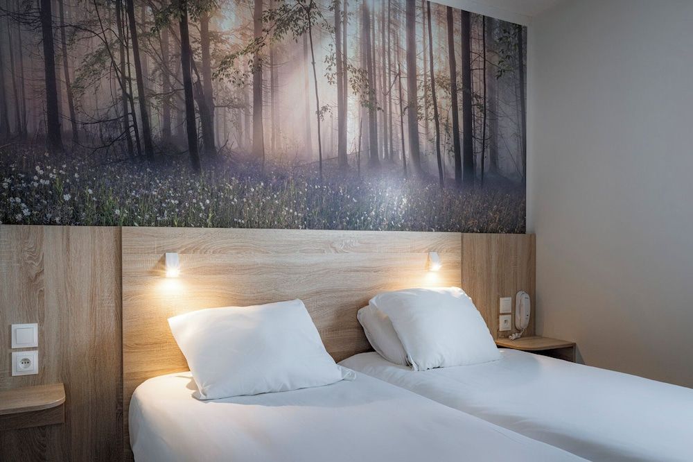 Kyriad Annemasse - Genève Superior Room, 2 Twin Beds 5