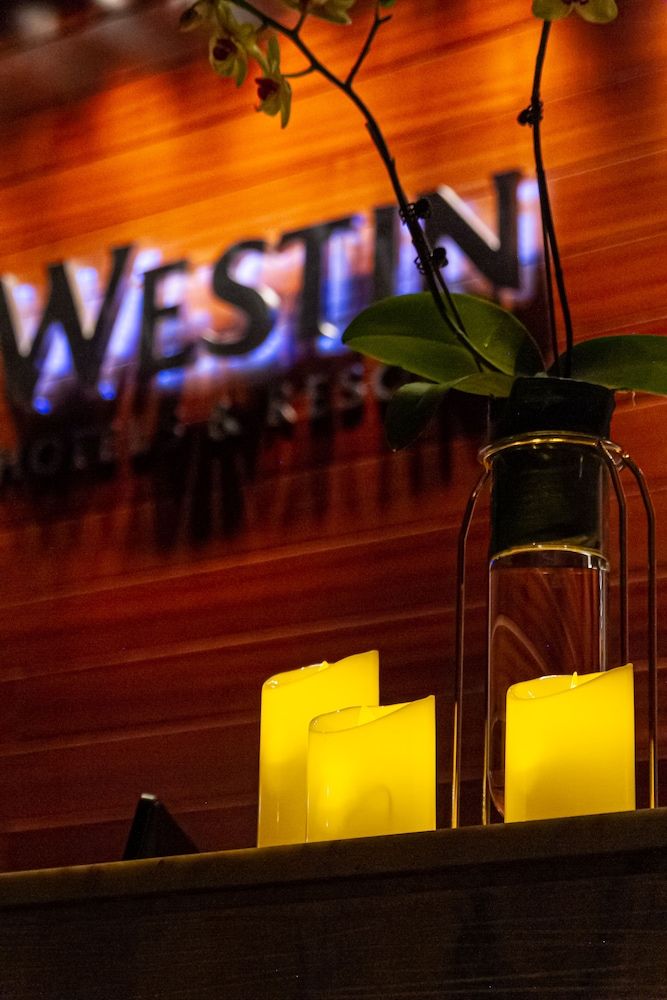undefined The Westin Guangzhou 10