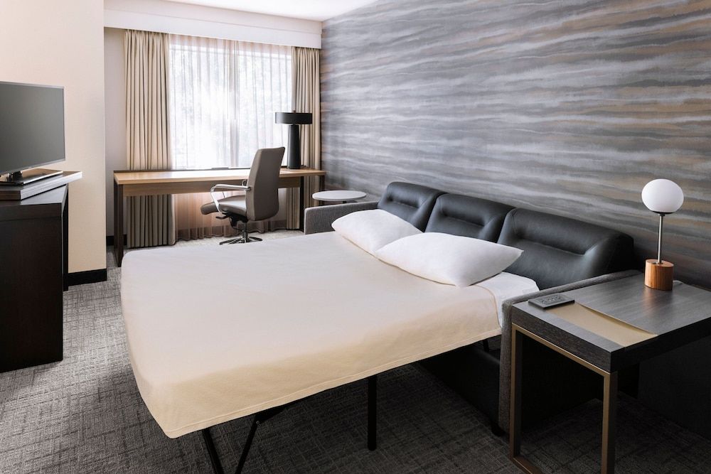 Studio, 1 King Bed with Sofa bed