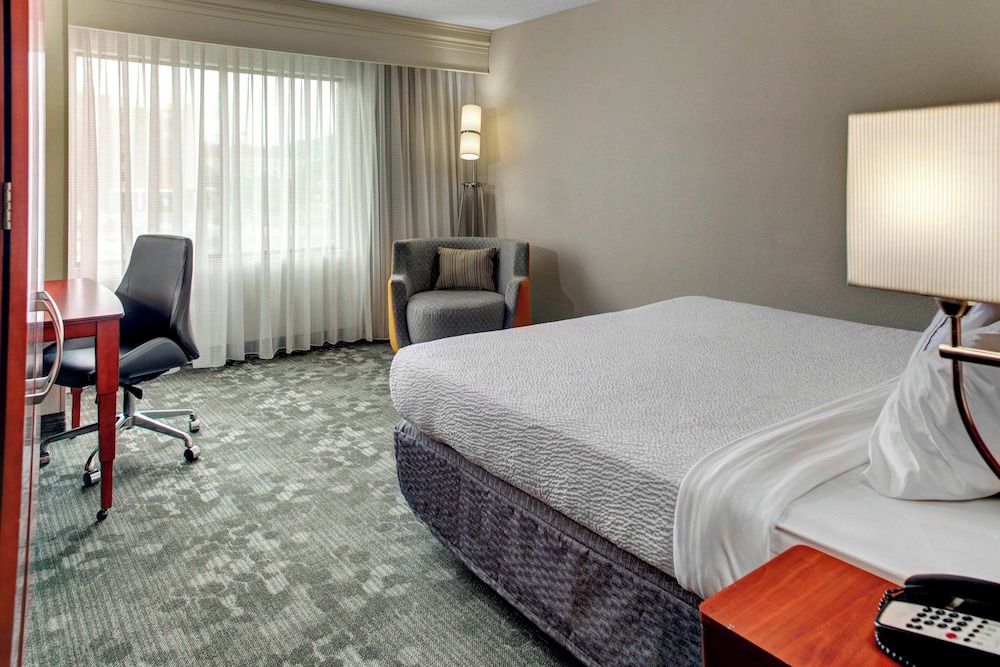 Room, 1 King Bed with Sofa bed (Hearing Accessible)
