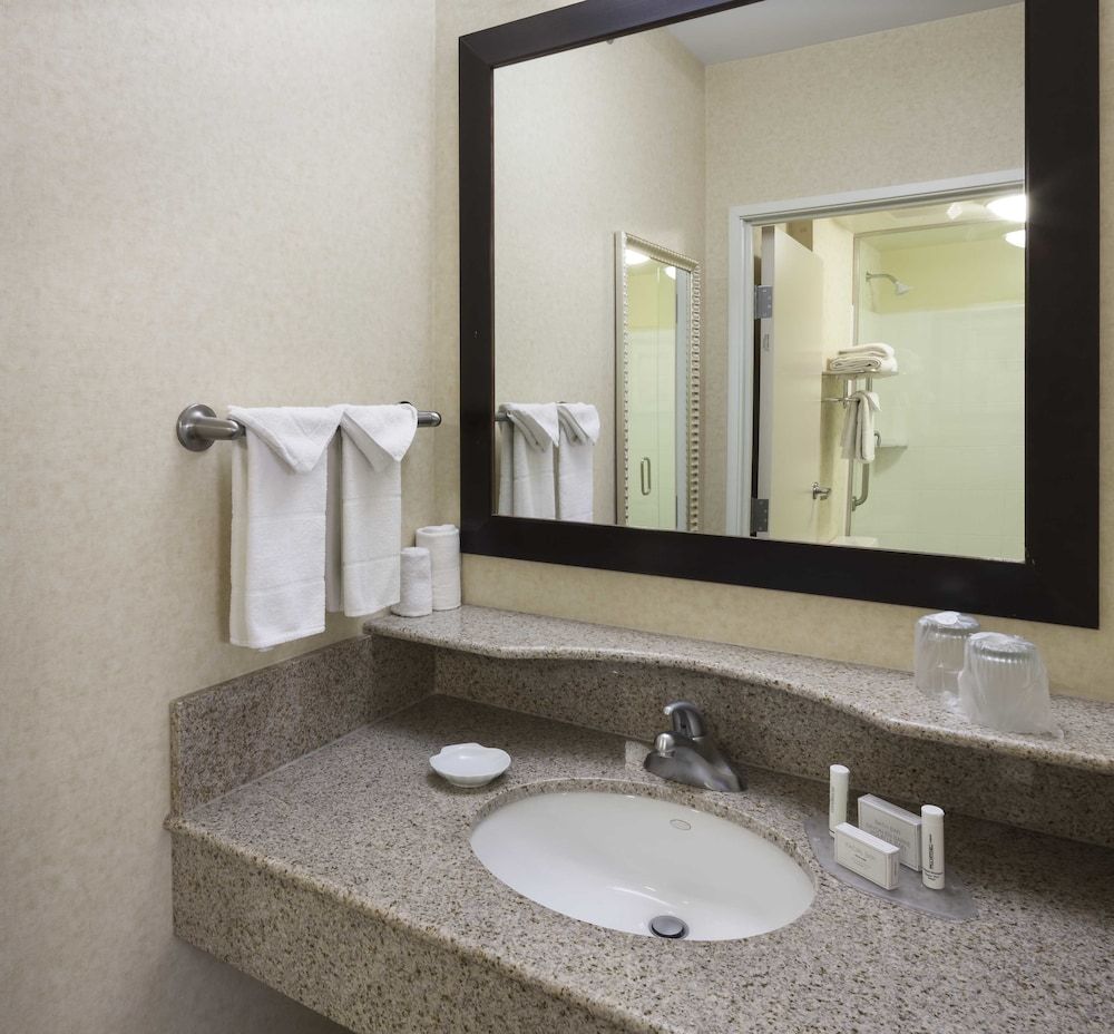 Suite, 1 King Bed with Sofa bed (Hearing Accessible)