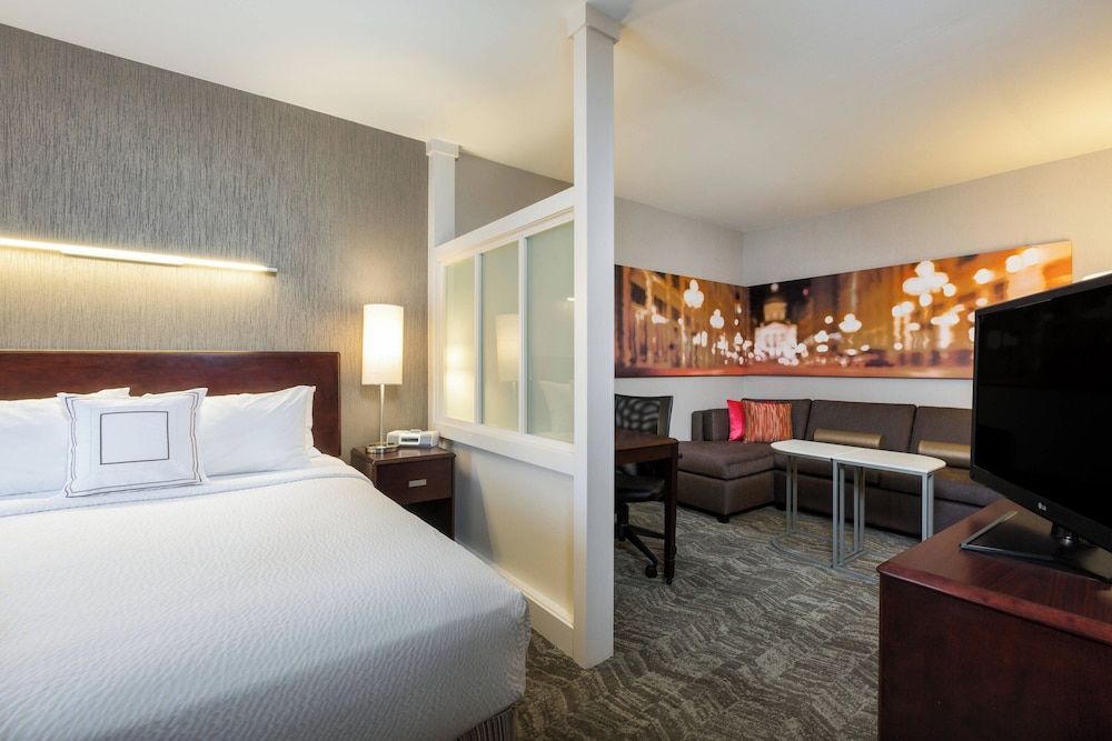 Suite, 1 King Bed with Sofa bed