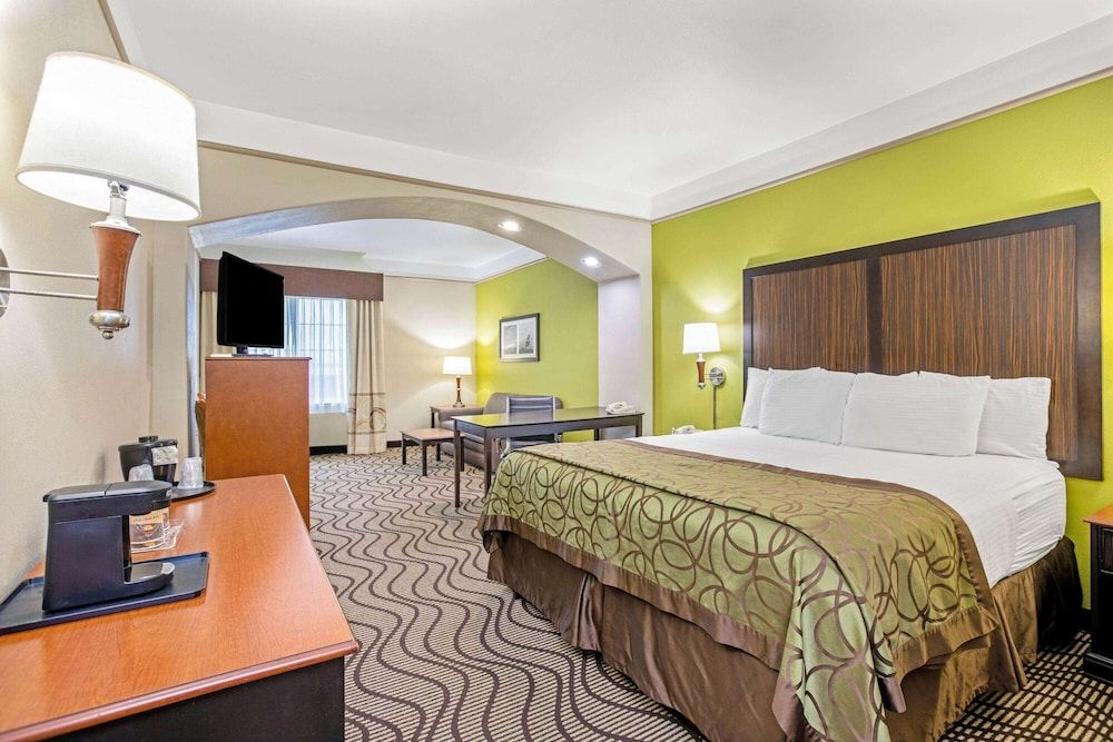 Room, 1 King Bed, Non Smoking