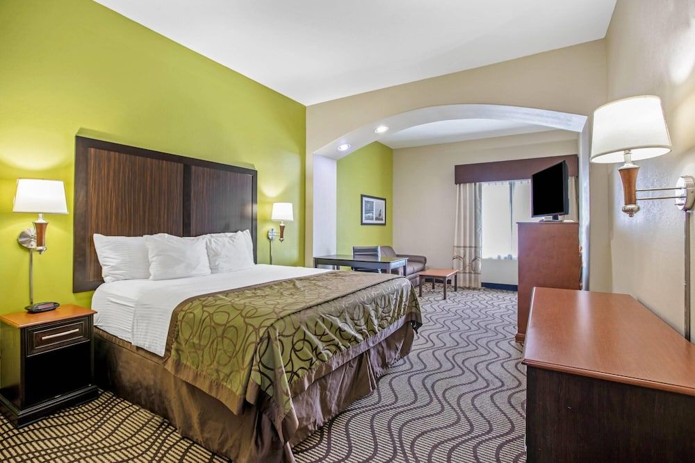 Room, 1 King Bed, Non Smoking