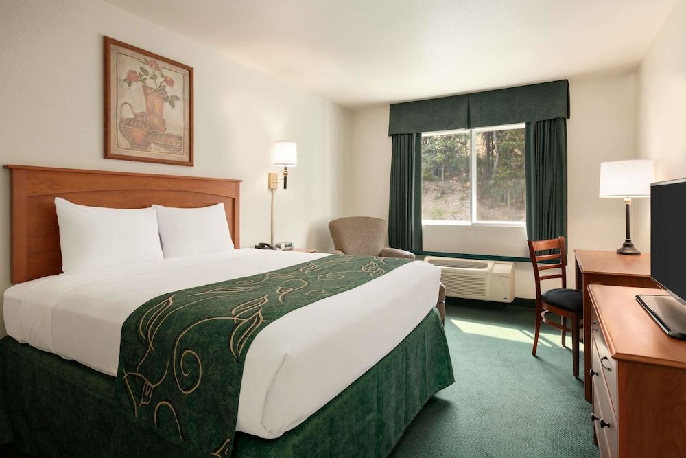 Room, 1 Queen Bed, Non Smoking