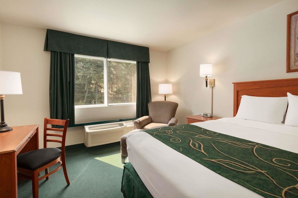 Room, 1 King Bed, Accessible, Non Smoking (Mobility/Hearing/Roll In Shower)