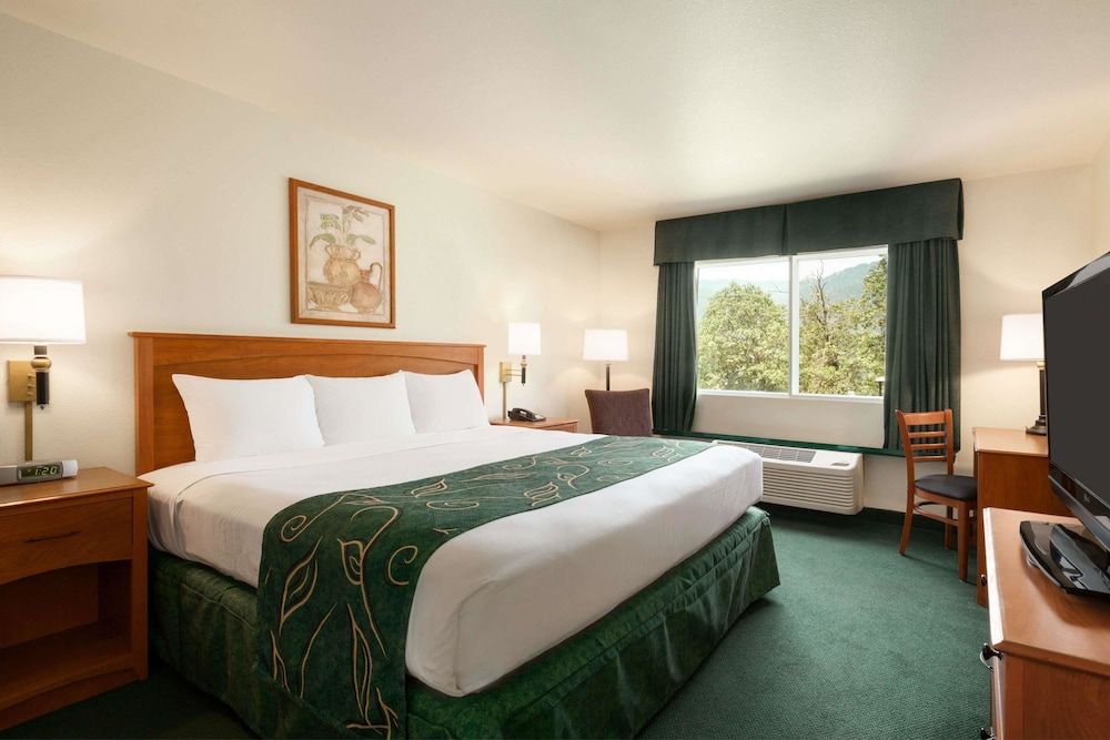 Room, 1 King Bed, Non Smoking