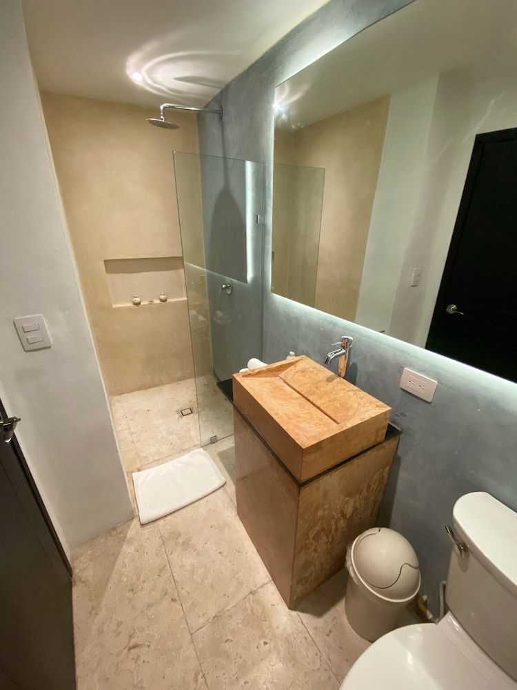 Piedra De Agua Hotel Boutique Mérida Premium Double Room, 2 Double Beds, No Windows 6