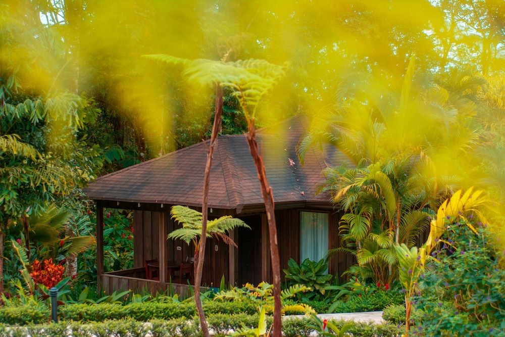 undefined Hotel Lomas del Volcán 8