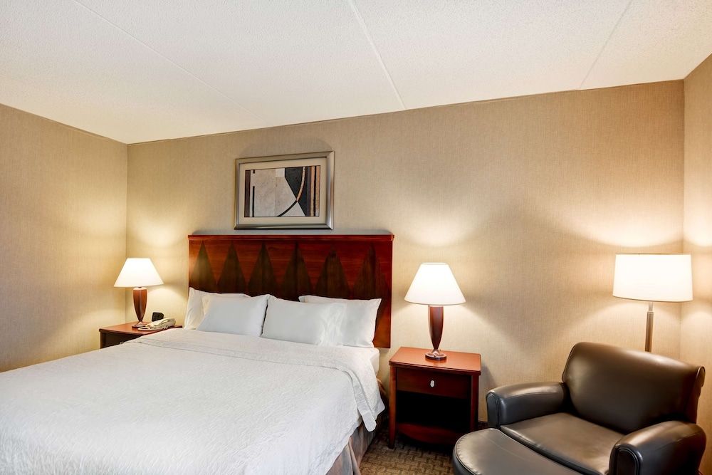Room, 1 King Bed, Accessible (Mobility & Hearing, Roll-In Shower)
