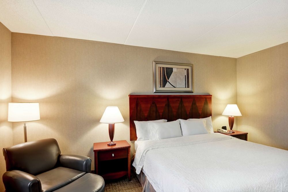 Room, 1 King Bed, Accessible, Bathtub (Mobility & Hearing)