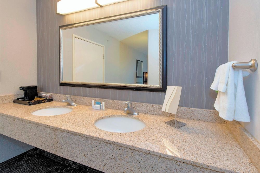 Suite, 1 King Bed with Sofa bed