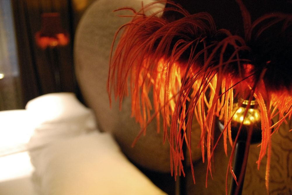 undefined Palazzo Barbarigo Sul Canal Grande 5