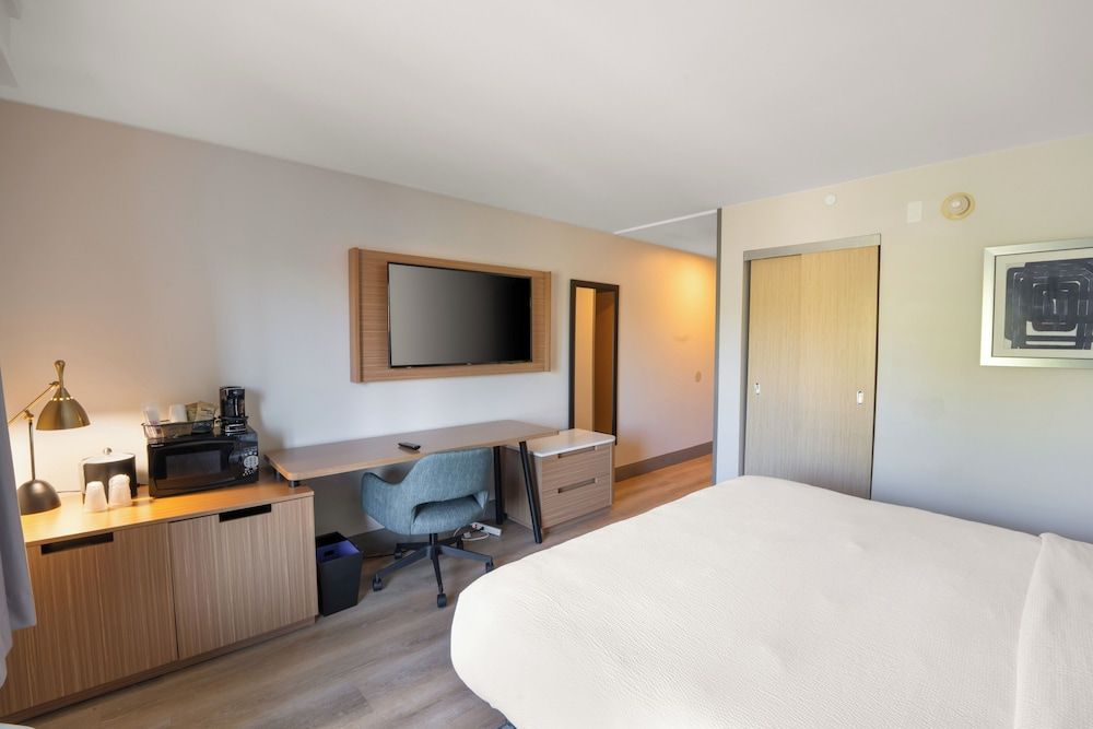 Room, 1 King Bed, Non Smoking (Mobility Accessible, Roll-In Shower)