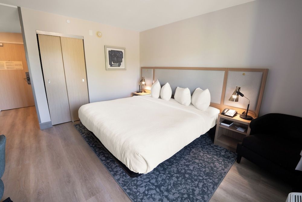 Room, 1 King Bed, Non Smoking (Mobility/Hearing Access, Roll-In Shwr)