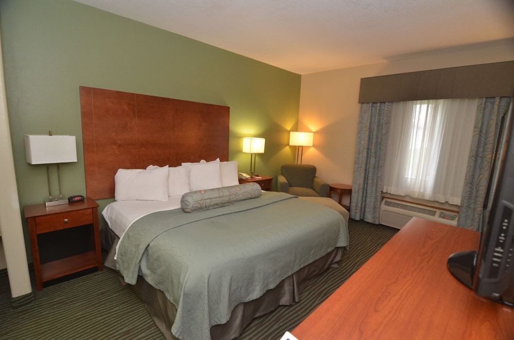 Room, 1 King Bed, Non Smoking
