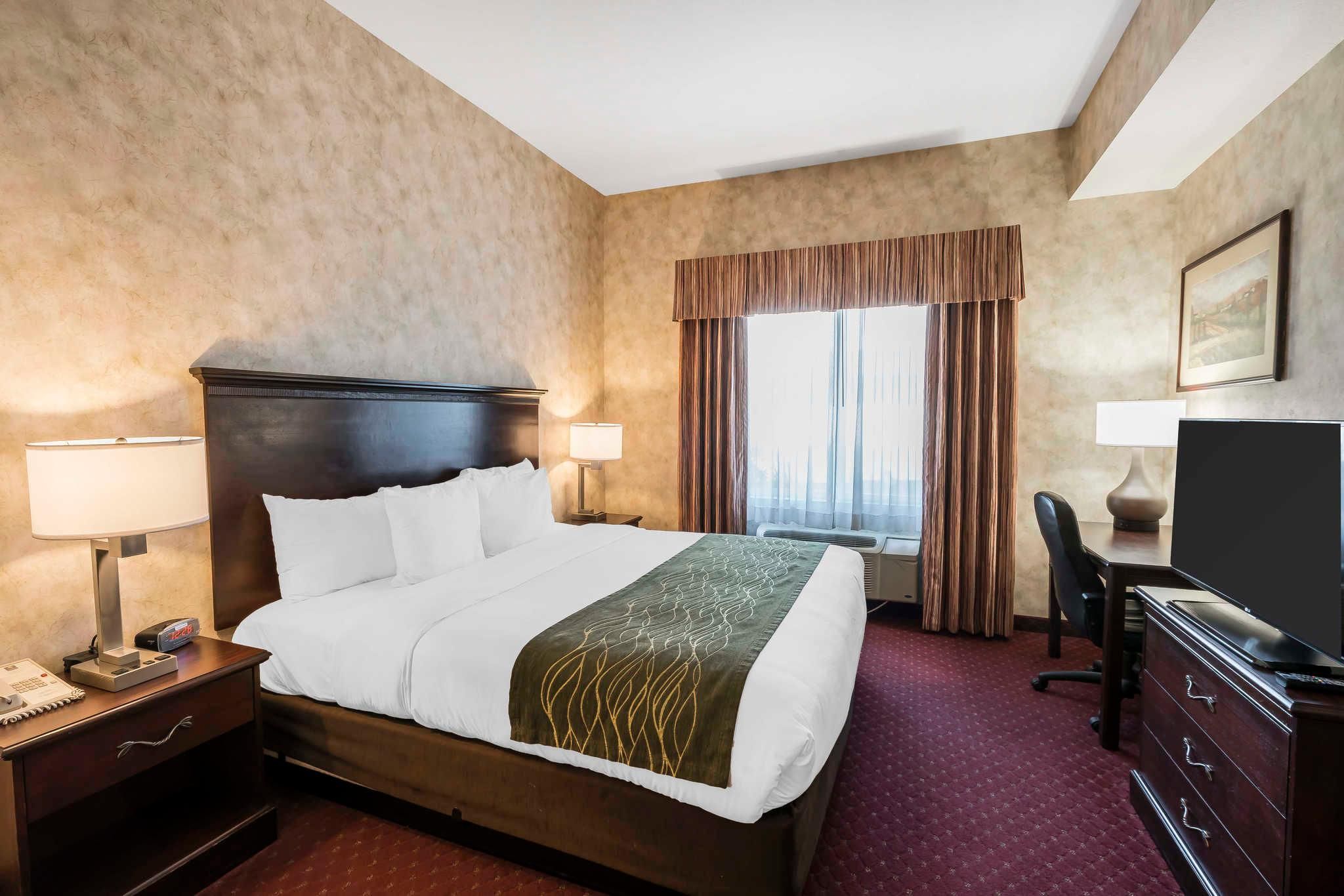 1 King Bed, Suite, Nonsmoking