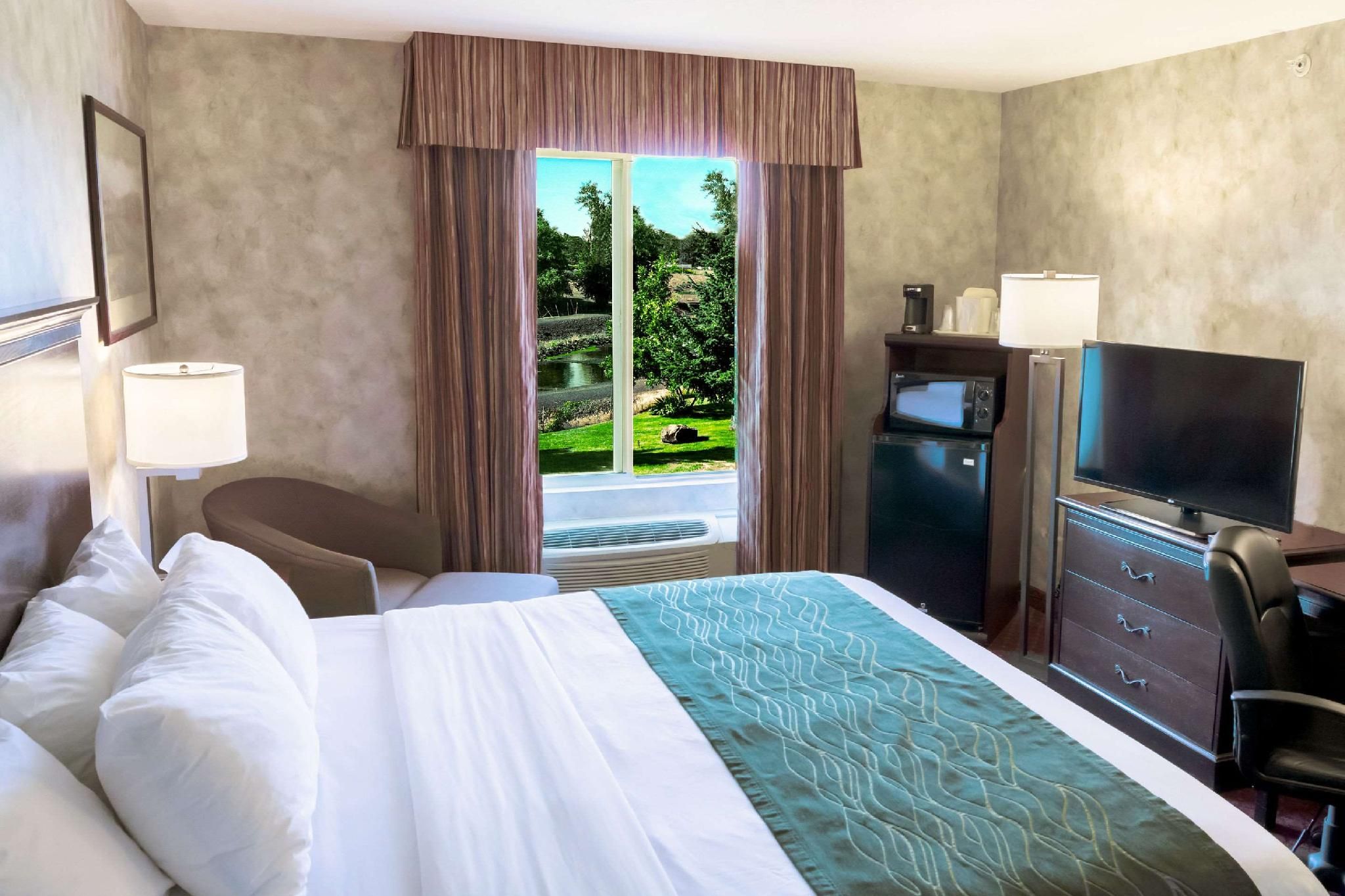 1 King Bed, Suite, Nonsmoking, Accessible
