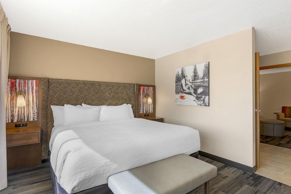 Suite, 1 King Bed, Non Smoking, Refrigerator & Microwave (with Sofabed)