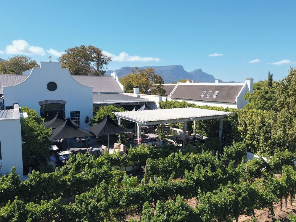 undefined Steenberg Hotel & Spa 8