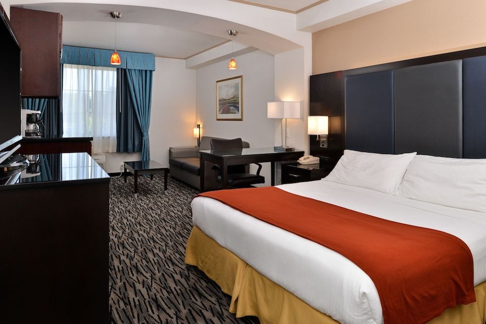 Suite, 1 Bedroom (1 King, Sofa Bed)