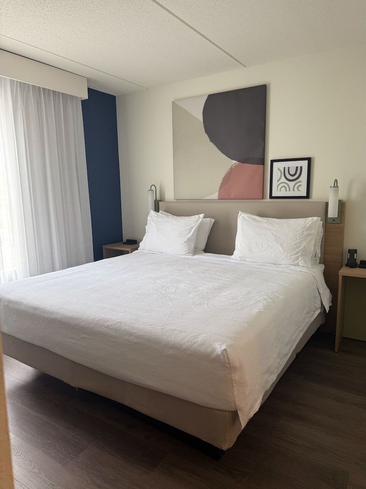 Suite, 1 King Bed, Accessible, Bathtub (Mobility & Hearing)