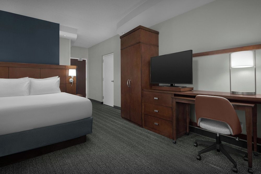 Room, 1 King Bed with Sofa bed (Mobility Accessible, Roll-In Shower)