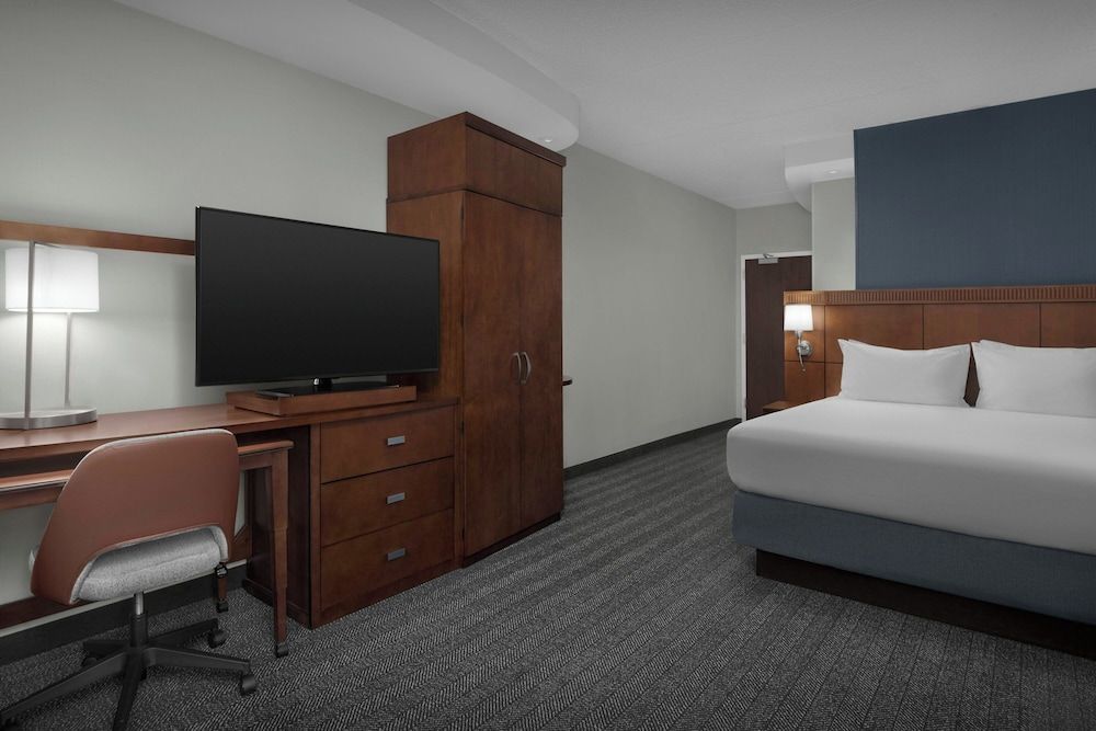 Room, 1 King Bed with Sofa bed
