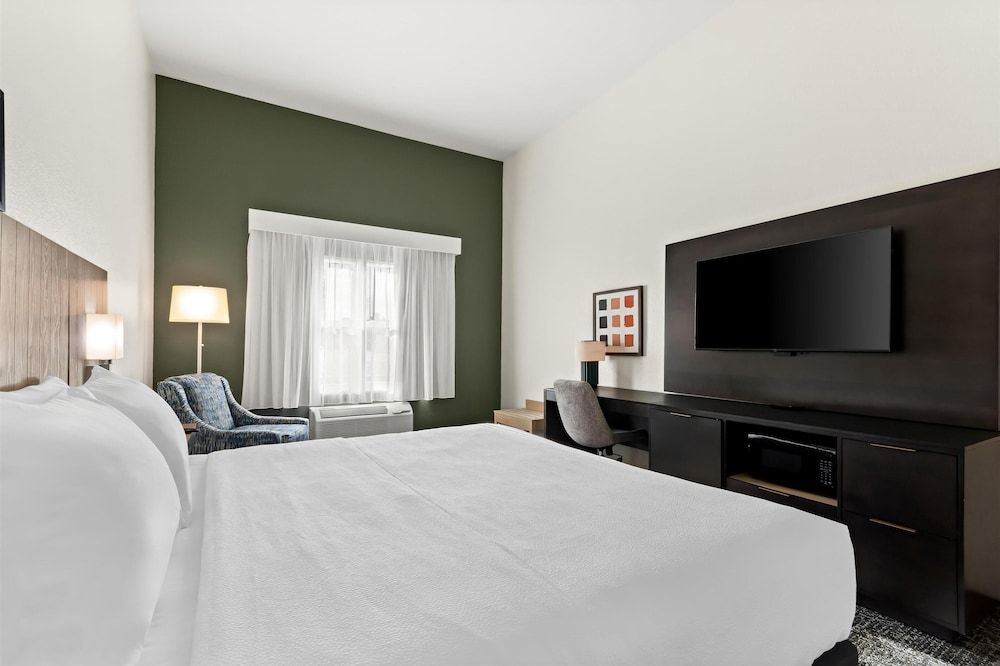 Room, 1 King Bed, Accessible, Bathtub (Mobility & Hearing)