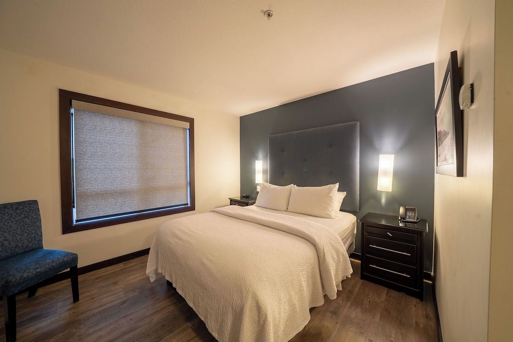 Studio, 1 Queen Bed
