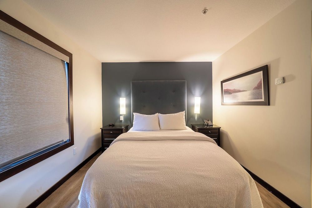 Studio, 1 Queen Bed