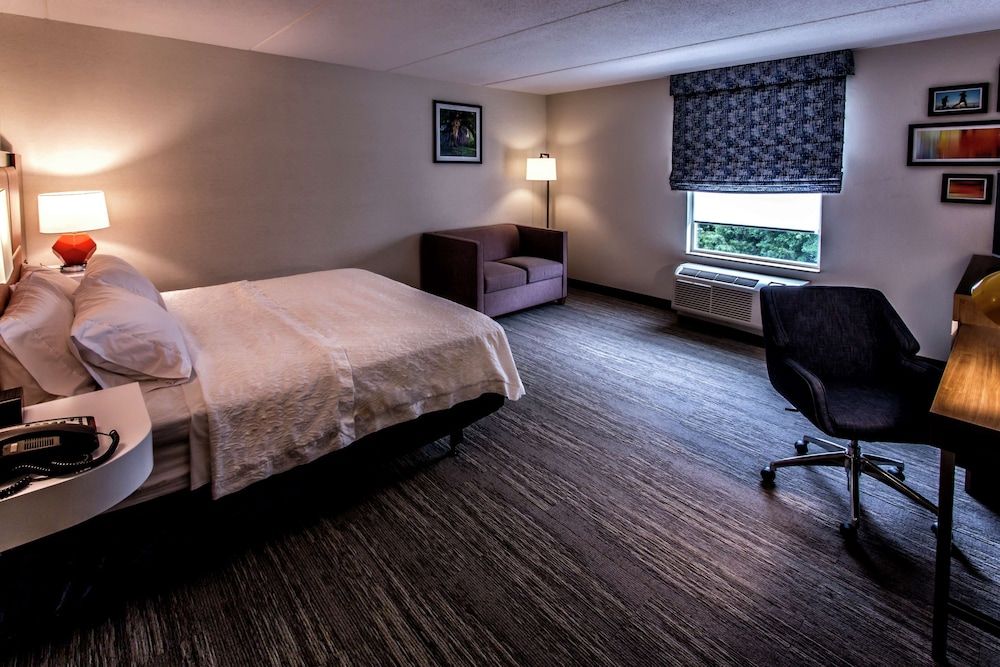 Room, 1 King Bed, Accessible, Non Smoking
