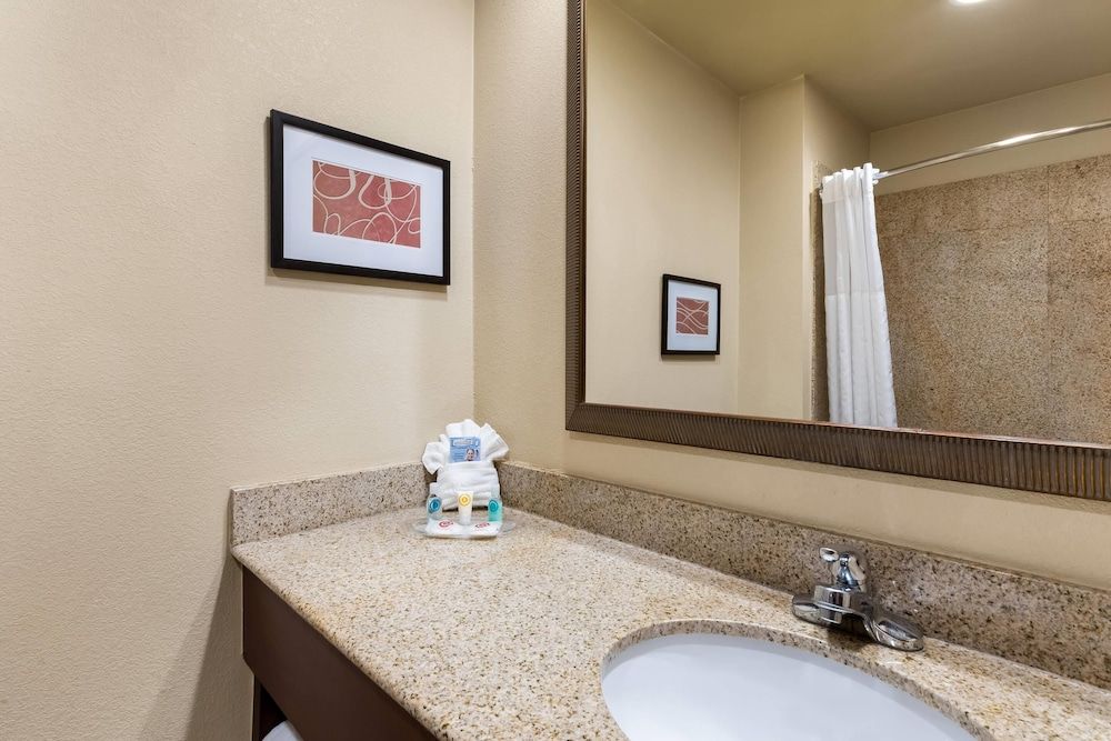 Suite, 1 King Bed with Sofa bed, Accessible, Non Smoking