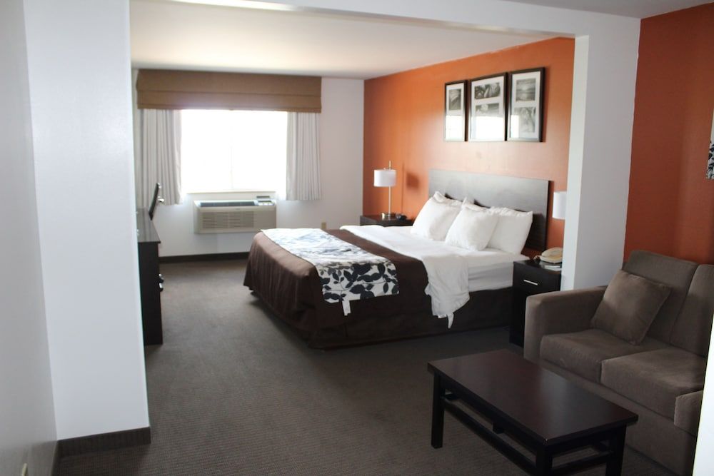Suite, 1 King Bed with Sofa bed, Non Smoking (No Pets)