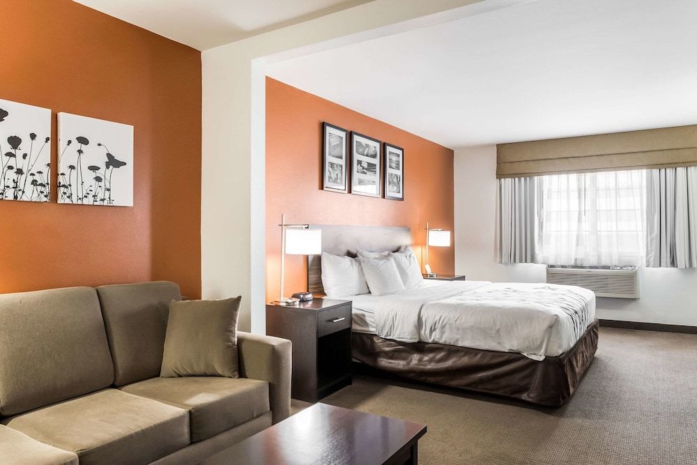 Suite, 1 King Bed with Sofa bed, Non Smoking (No Pets)