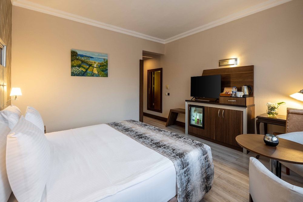 Elite Hotel Dragos Double or Twin Room 2