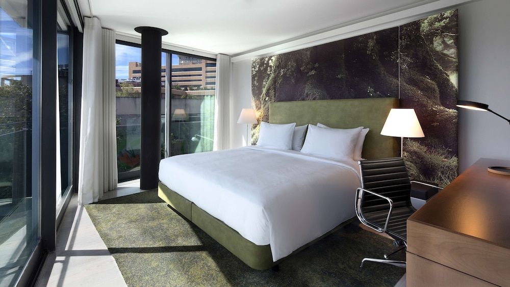 King Deluxe with Park View