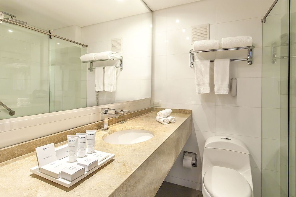 undefined Radisson Bogota Metrotel 5