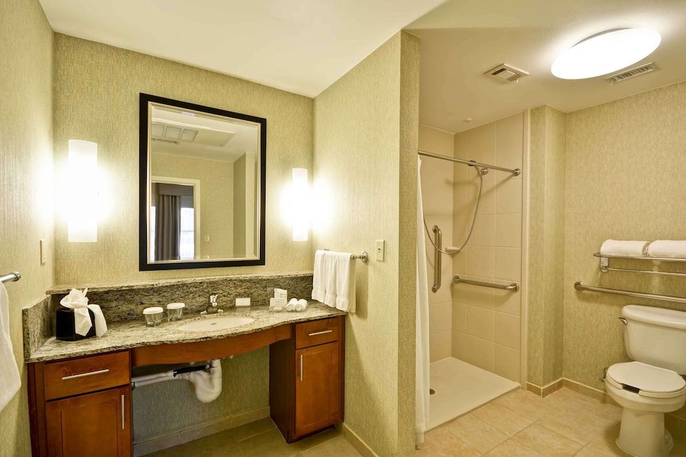Studio, 1 King Bed, Accessible (Mobility & Hearing, Roll-in Shower)