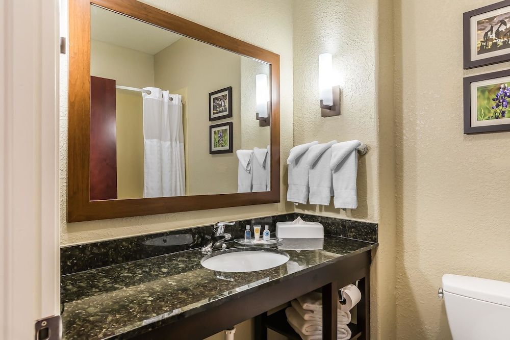 Comfort Suites Houston IAH Airport - Beltway 8 Suite, 1 King Bed, Non Smoking 4