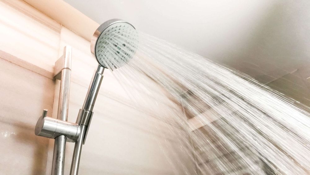 Santa Cruz Inn Riverside Room, 1 Queen Bed, Non Smoking 7