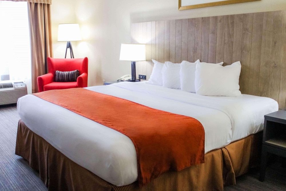 Studio Suite, 1 King Bed, Non Smoking