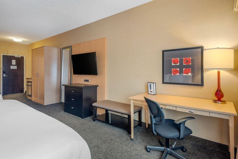 Room, Multiple Beds, Accessible, Non Smoking