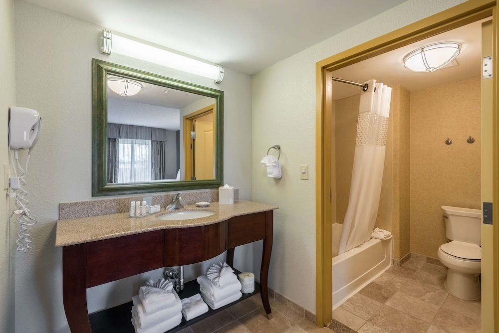 undefined Hampton Inn & Suites Orlando-South Lake Buena Vista 8