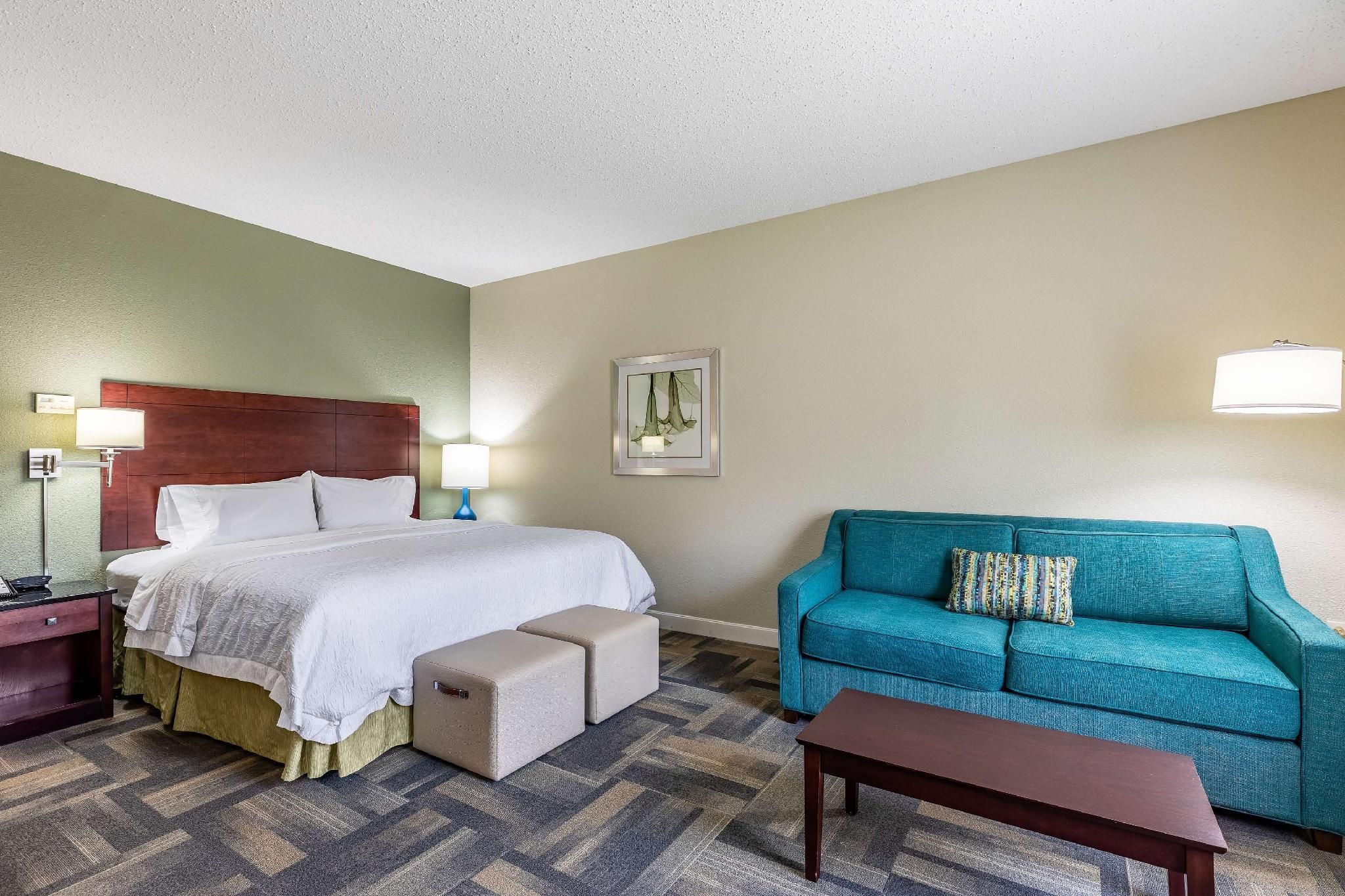 undefined Hampton Inn & Suites Orlando-South Lake Buena Vista 10